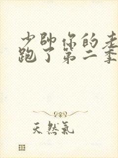 少帅你的老婆又跑了第二季