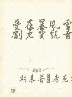 爱在暴风雪电视剧免费观看全集高清