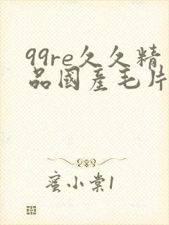 99re久久精品国产毛片