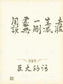 用尽一生去爱小说无删减版
