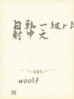 日韩一级r片内射中文