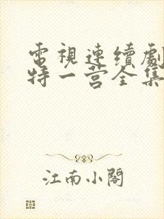 电视连续剧我的特一营全集完整版