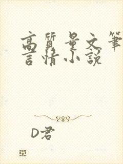 高质量文笔好的言情小说封面