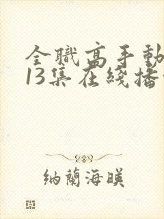 全职高手动漫第13集在线播放