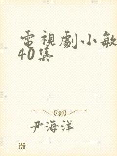 电视剧小敏家第40集