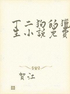 丁二狗的猎艳人生小说免费封面