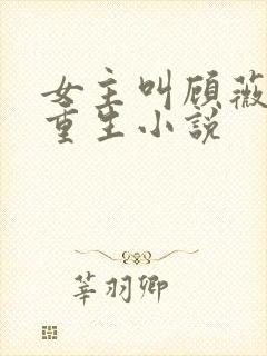 女主叫顾薇薇的重生小说