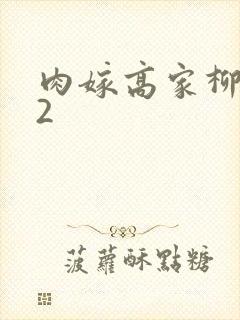 肉嫁高家柳家02