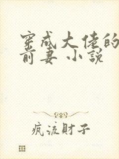 穿成大佬的私奔前妻 小说封面