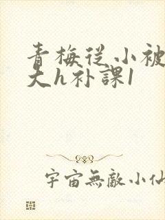 青梅从小被c到大h补课1