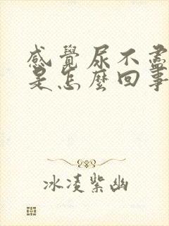 感觉尿不尽尿频是怎么回事