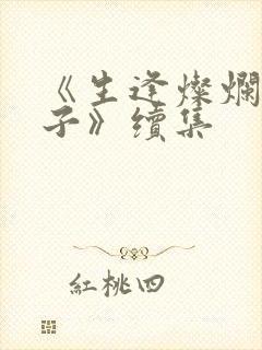 《生逢灿烂的日子》续集封面