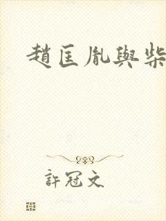 赵匡胤与柴荣封面