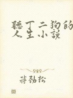 听丁二狗的肆意人生小说