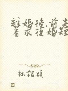 离婚后,前夫哭着求复婚短剧免费观看