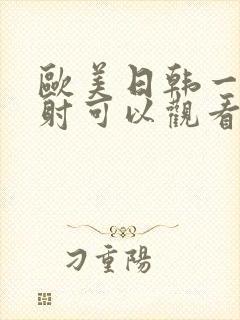 欧美日韩一级内射可以观看的视频