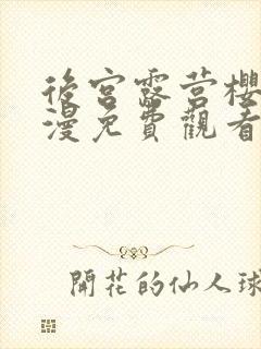 后宫露营樱花动漫免费观看