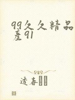 99久久精品国产91封面