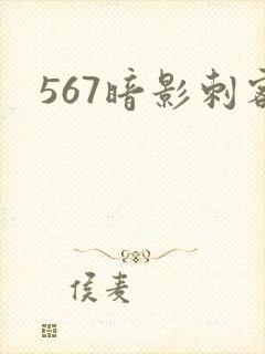 567暗影刺客封面