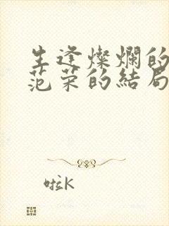 生逢灿烂的日子范荣的结局封面