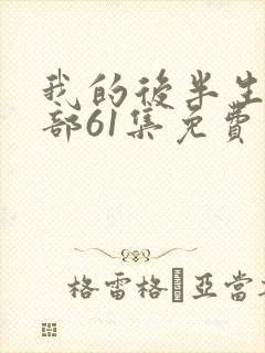 我的后半生第二部61集免费观看