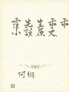 霍先生乖乖宠我小说原文