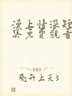 漠上情深短剧全集免费观看封面