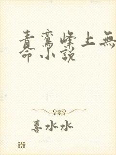 青鸾峰上无敌天命小说