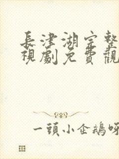 长津湖完整版电视剧免费观看完整版