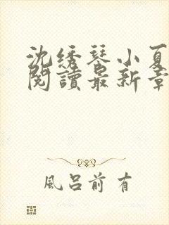 沈绣琴小夏全文阅读最新章节