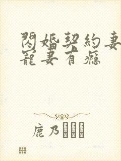 闪婚契约妻封少宠妻有瘾封面