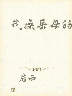 我操岳母的小说