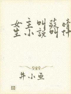 女主叫苏晴的重生小说叫什么名字