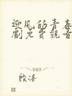 迎风的青春电视剧免费观看完整版全集