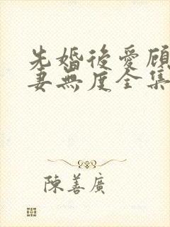 先婚后爱顾总宠妻无度全集封面