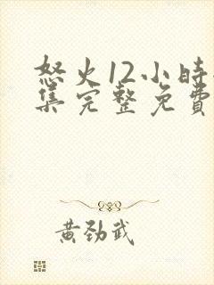 怒火12小时全集完整免费观看高清