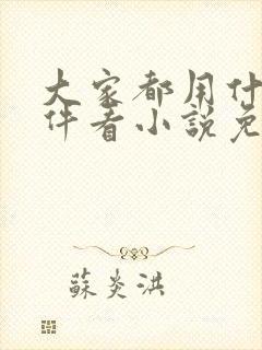 大家都用什么软件看小说免费