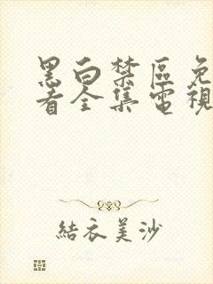 黑白禁区免费观看全集电视剧下载封面