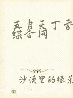 五月天丁香婷婷综合网封面