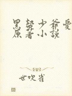 黑帮少爷爱上我原著小说
