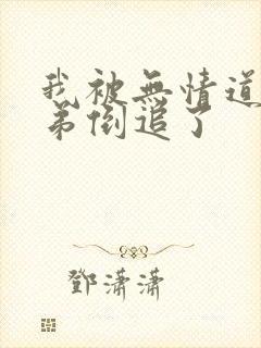 我被无情道小师弟倒追了封面