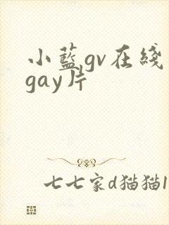 小蓝gv在线看gay片