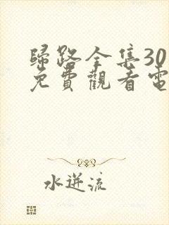 归路全集30集免费观看电视剧封面