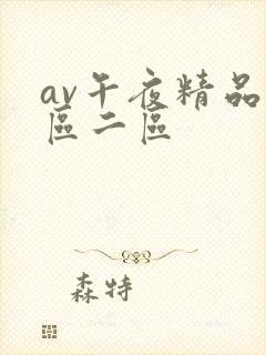 av午夜精品一区二区