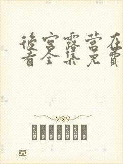 后宫露营在线观看全集免费播放封面