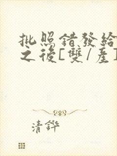 批照错发给情敌之后[双/产]