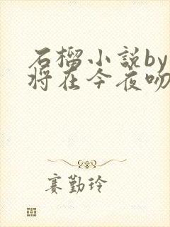 石榴小说by我将在今夜吻你免费阅读封面