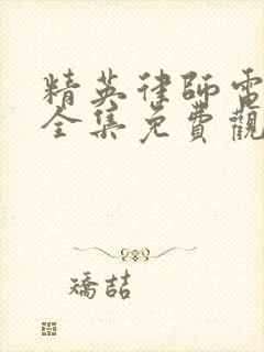 精英律师电视剧全集免费观看完整版封面