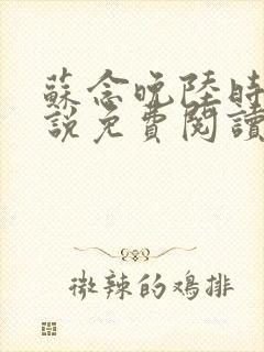 苏念晚陆时衍小说免费阅读最新章节封面