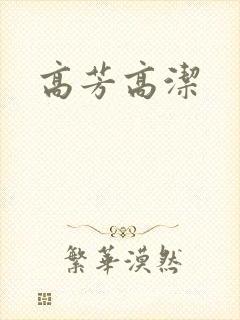 高芳高洁封面